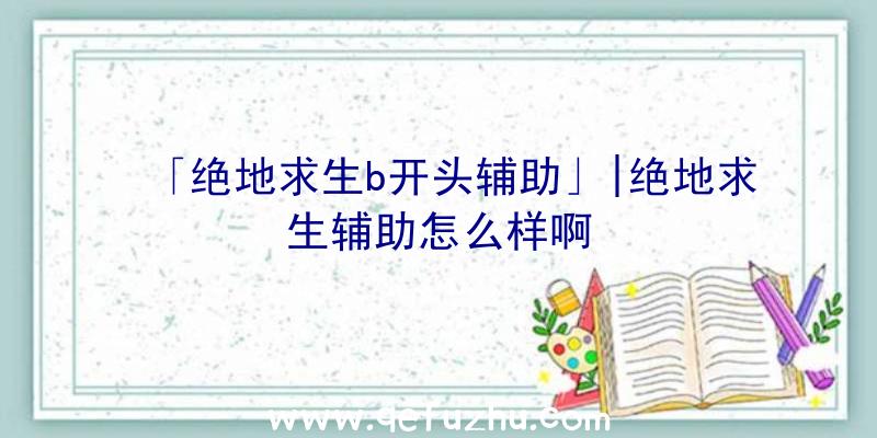 「绝地求生b开头辅助」|绝地求生辅助怎么样啊